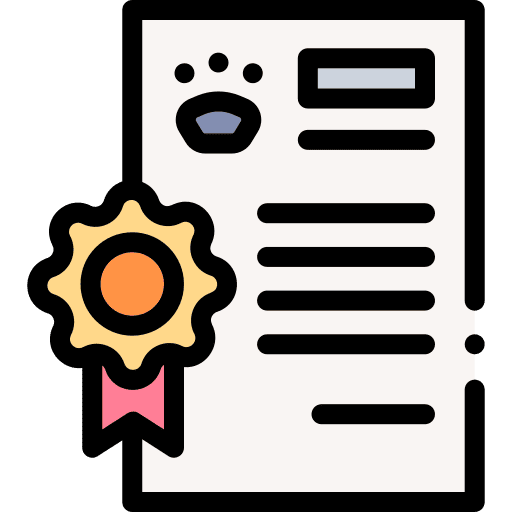 555IQ top-tier security and licensed casino games